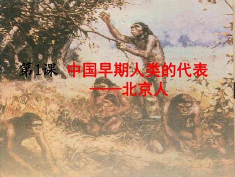 部编版七年级上册 历史 课件 1.中国早期人类的代表——北京人3第1页