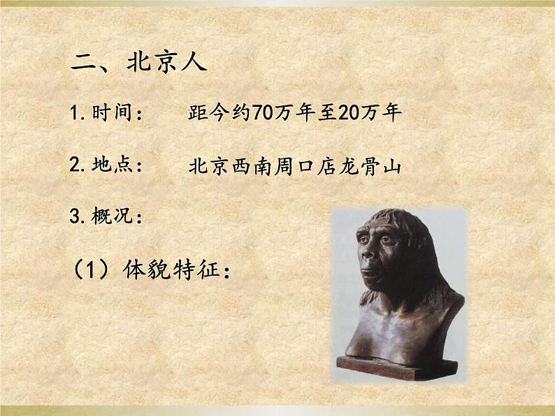 部编版七年级上册 历史 课件 1.中国早期人类的代表——北京人3第8页