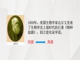 部编版七年级上册 历史 课件 1.中国早期人类的代表——北京人2