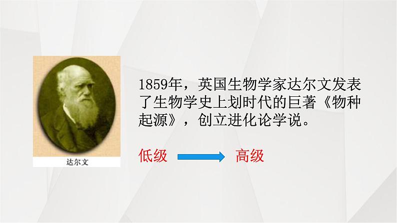 部编版七年级上册 历史 课件 1.中国早期人类的代表——北京人2第2页