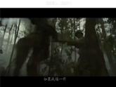 部编版八年级历史上册-第20课 正面战场的抗战   教学课件 视频素材