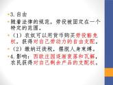 部编版九年级上册 历史 课件 13.西欧经济和社会的发展 (2)