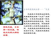 部编版九年级上册 历史 课件 11. 古代日本