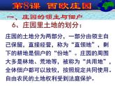 部编版九年级上册 历史 课件 8. 西欧庄园