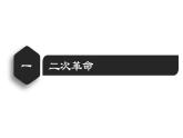 第11課　北洋政府的統(tǒng)治和軍閥割據(jù)　課件