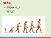 人教部编版历史七年级上册  1《中国境内早期人类的代表——北京人》课件