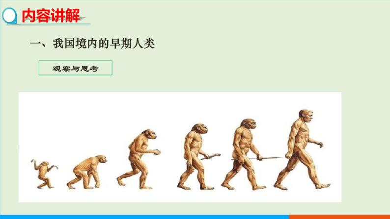 人教部编版历史七年级上册  1《中国境内早期人类的代表——北京人》课件05