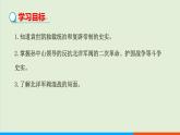 人教部编版历史八年级上册  11《北洋政府的统治与军阀割据》课件
