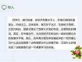 人教版七年级历史下册第九课 宋代经济发展 （课件） （共41张PPT）