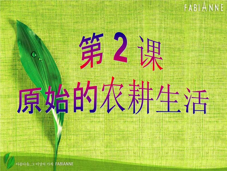 部编版 历史 七年级上册 第2课 原始农耕生活（课件）02