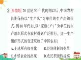 人教部编版八年级下册历史第8课 经济体制改革(课件+教案+习题课件)