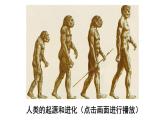 第1课 中国境内早期人类的代表——北京人　课件