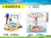 人教版历史七年级上册  第1课  中国早期人类的代表——北京人【课件】