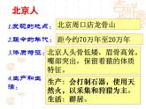 部编版 历史 七年级上册 第一课 中国早期人类的代表——北京人（课件）