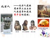 部编版 历史 七年级上册 第一课 中国早期人类的代表——北京人（课件）