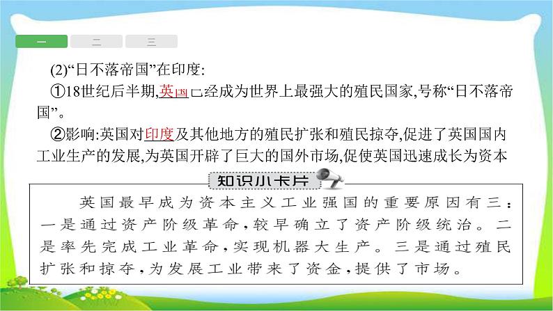 中考历史复习17殖民扩张、无产阶级的斗争和资产阶级统治的加强课件PPT第5页