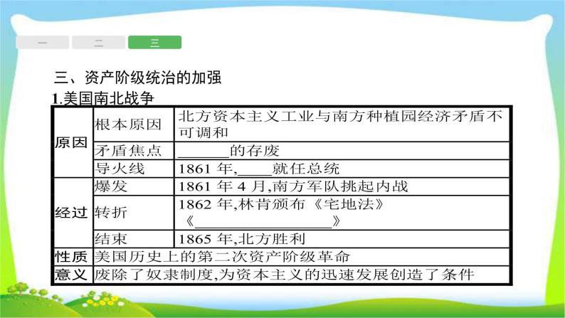 中考历史复习17殖民扩张、无产阶级的斗争和资产阶级统治的加强课件PPT08