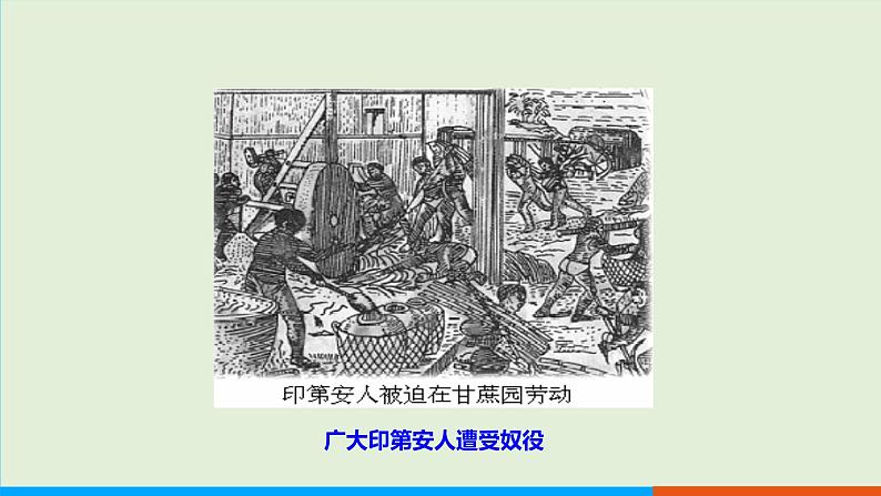 人教部编版历史 九年级下册  第1课 殖民地人民的反抗斗争课件PPT第4页