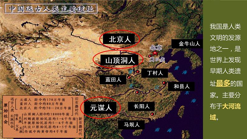 部编版 历史 七年级上册 第一课 中国早期人类代表——北京人（课件）第7页