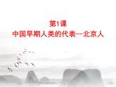 部编版 历史 七年级上册 第一课 中国早期的人类代表——北京人（课件）