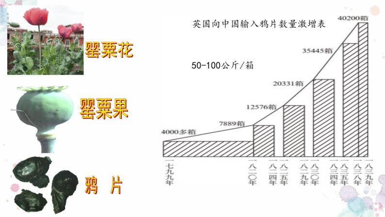 鸦片战争PPT课件免费下载07