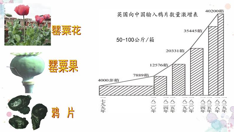 鸦片战争PPT课件免费下载07