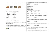 河北省秦皇岛市青龙县2020-2021学年七年级上学期期末历史试题部编版