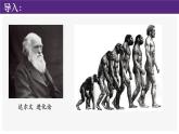 第1课 中国境内早期人类的代表—北京人课件PPT