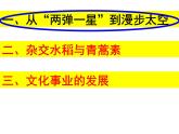 人教部编版历史八年级下册第18课 科学技术的成就　课件