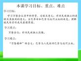 19 亞非拉國(guó)家的新發(fā)展　課件