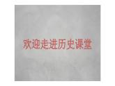 部编版历史八年级下册 第17课 外交事业的发展课件