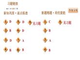 人教版七年级下册历史 第2单元 第8课　金与南宋的对峙 习题课件