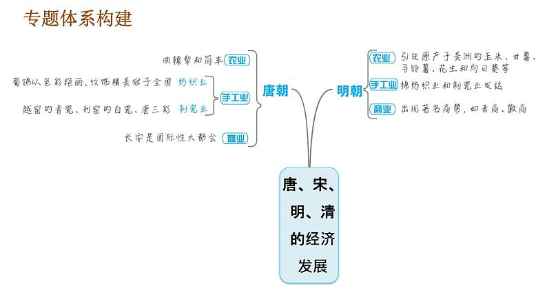 人教版七年级下册历史 期末复习提升 专题训练 专题二　唐、宋、明、清的经济发展 习题课件02