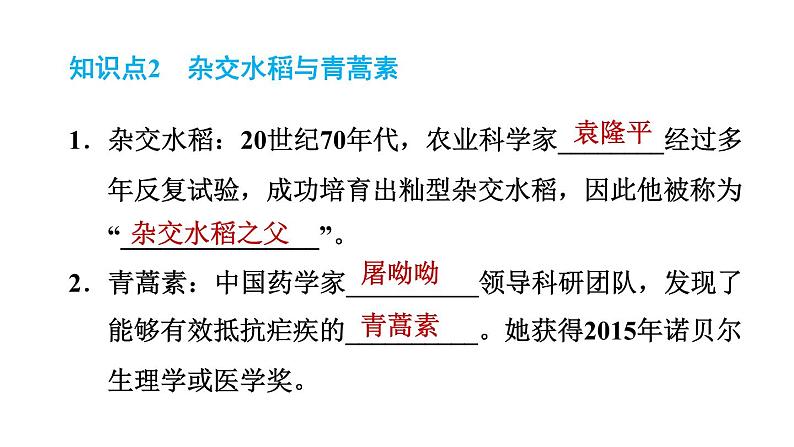 人教版八年级下册历史 第6单元 第18课　科技文化成就 习题课件第6页