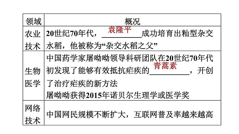 人教版八年级下册历史 期末专题复习 专题四　中华人民共和国的国防、科技和文化事业 习题课件08