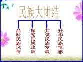 最新统编版历史八年级下册 第12课 民族大团结 课件（39张）