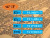 1.4 唐朝的中外文化交流 课件-2020-2021学年初中历史人教版七年级下册（共21张）