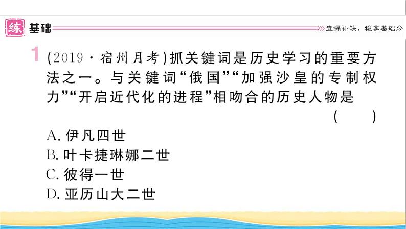 九年级历史下册第一单元殖民地人民的反抗与资本主义制度的扩展第2课俄国的改革作业课件新人教版02