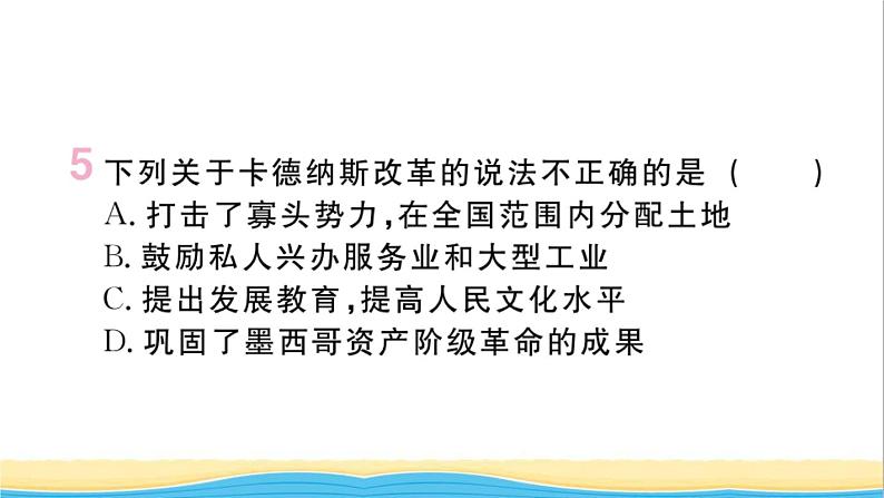 九年级历史下册第三单元第一次世界大战和战后初期的世界第12课亚非拉民族民主运动的高涨作业课件新人教版第6页