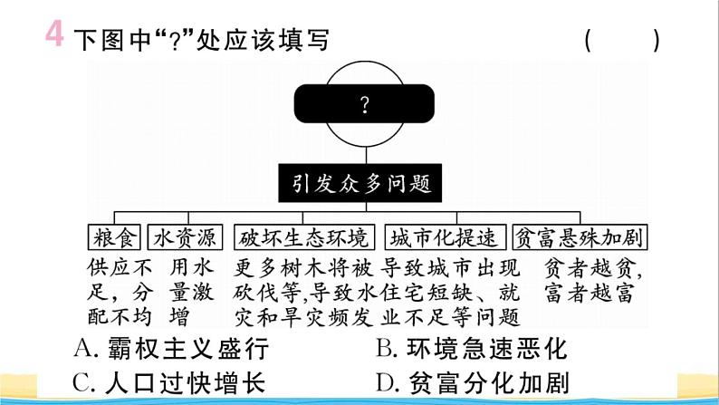 九年级历史下册第六单元走向和平发展的世界第22课不断发展的现代社会作业课件新人教版05