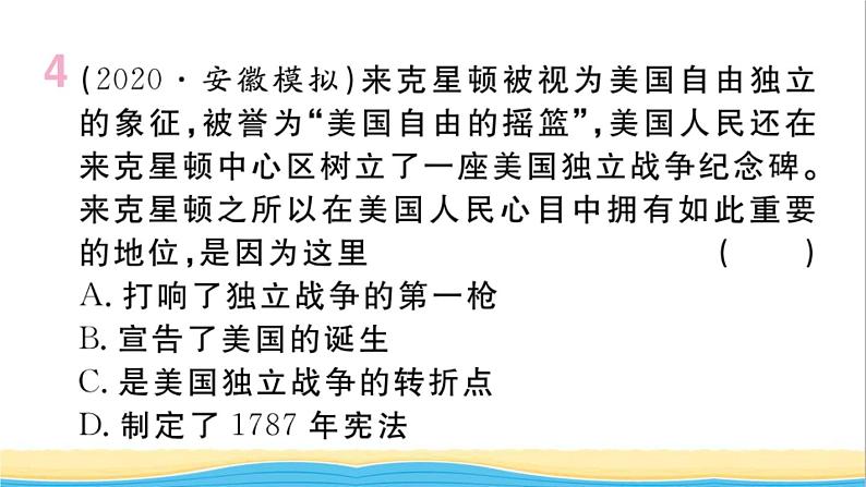 九年级历史下册期末专题复习专题一资本主义发展史作业课件新人教版05