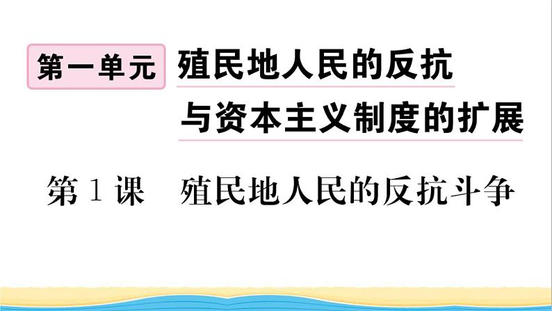 九年级历史下册第一单元殖民地人民的反抗与资本主义制度的扩展第1课殖民地人民的反抗斗争作业课件新人教版第1页