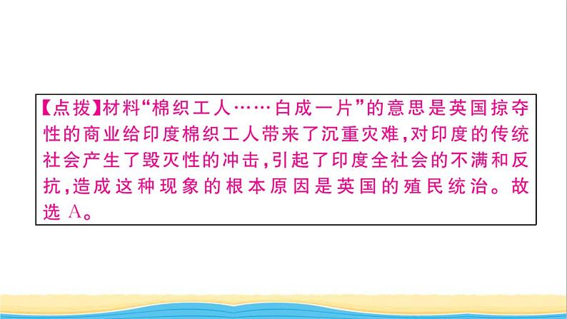 九年级历史下册第一单元殖民地人民的反抗与资本主义制度的扩展第1课殖民地人民的反抗斗争作业课件新人教版第6页