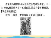 九年级历史下册第一单元殖民地人民的反抗与资本主义制度的扩展第2课俄国的改革作业课件新人教版