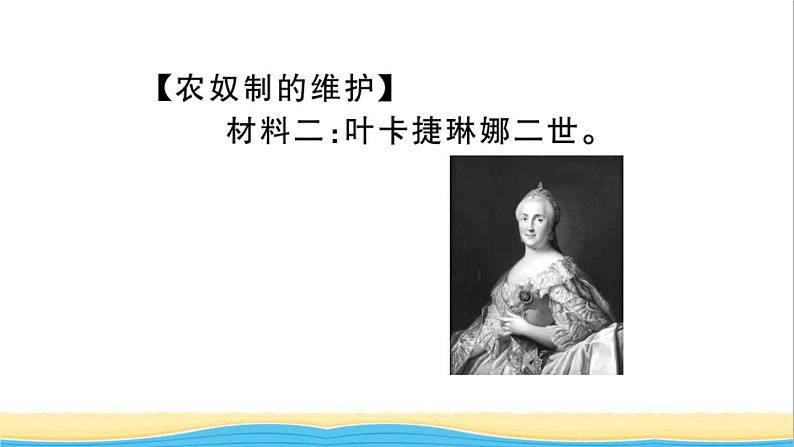 九年级历史下册第一单元殖民地人民的反抗与资本主义制度的扩展第2课俄国的改革作业课件新人教版第4页