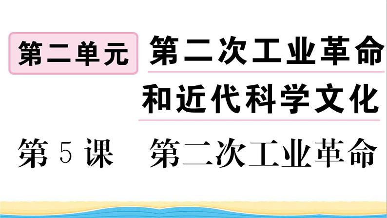 九年级历史下册第二单元第二次工业革命和近代科学文化第5课第二次工业革命作业课件新人教版01