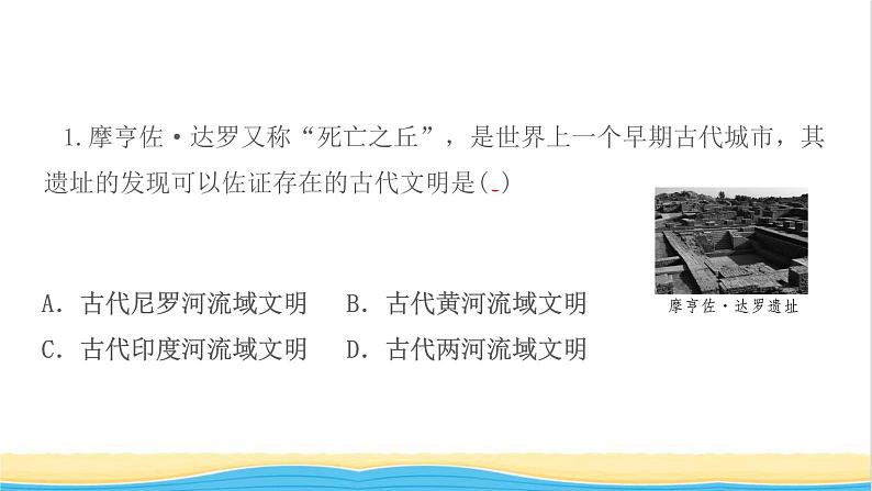 九年级历史上册第一单元古代亚非文明第3课古代印度作业课件新人教版03