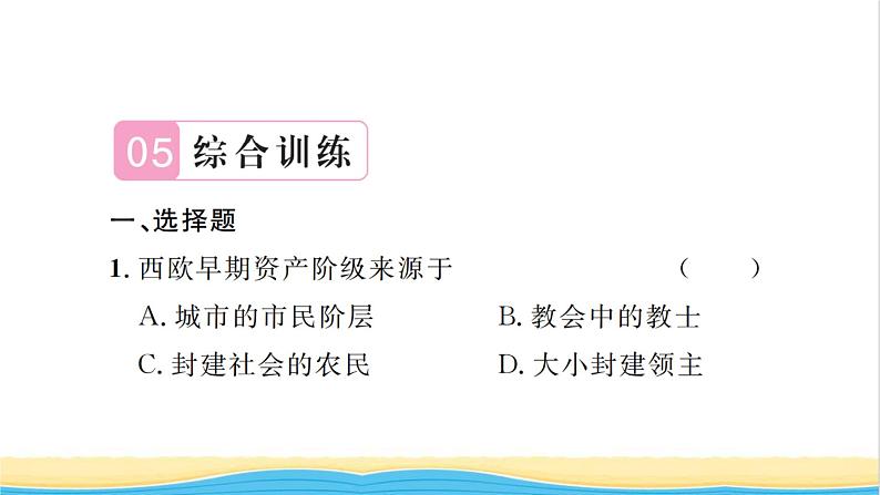 九年级历史上册第五单元走向近代单元复习与小结习题课件新人教版08