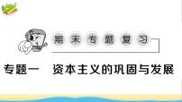 九年级历史下册期末专题复习一资本主义的巩固与发展作业课件新人教版