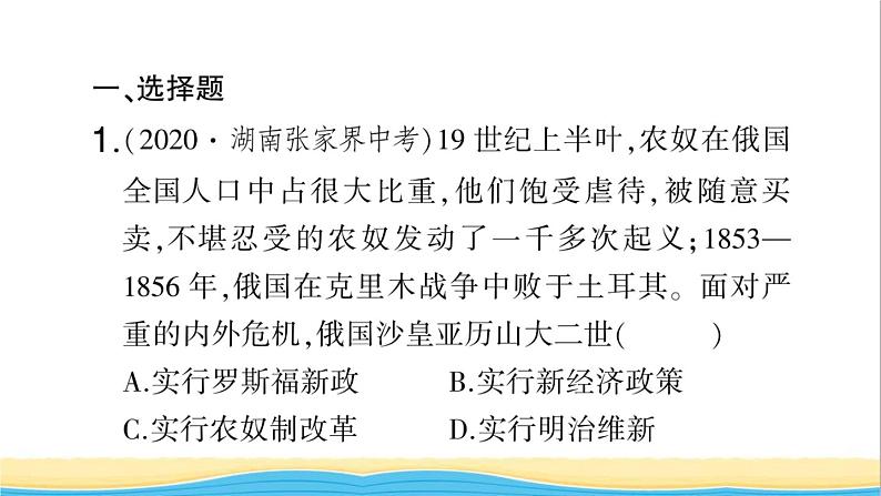 九年级历史下册期末专题复习一资本主义的巩固与发展作业课件新人教版02